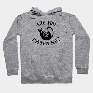 Are you kitten me? Hoodie